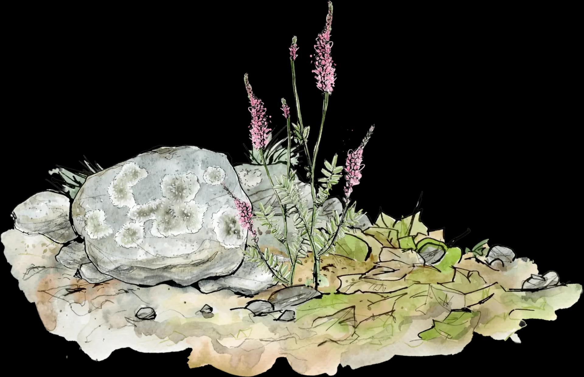 Stone