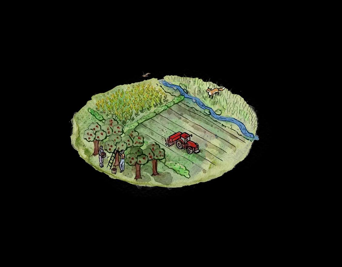 Landwirtschaft Illustration