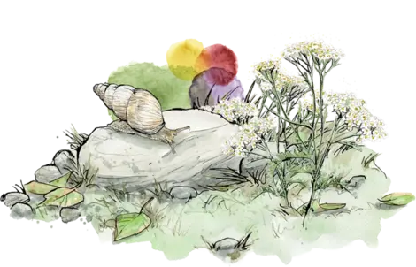 Stein mit Weinbergschnecke und abstrakten Aquarellformen
